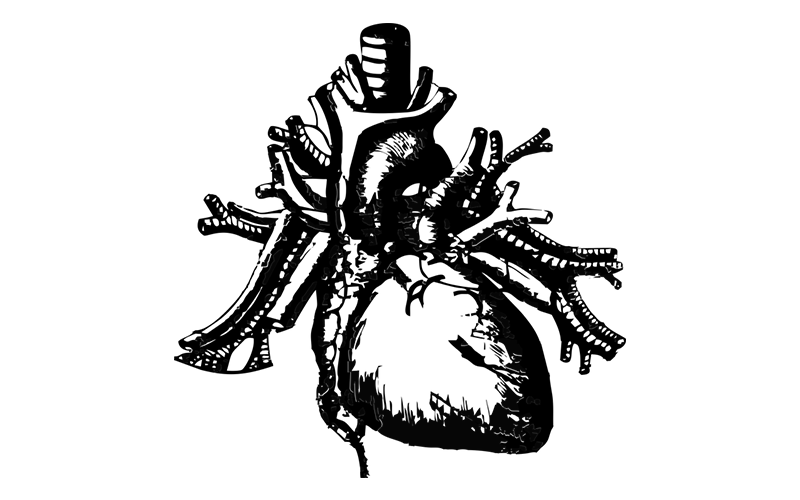 Does CoQ10 Lower Blood Pressure? OPA Coq10